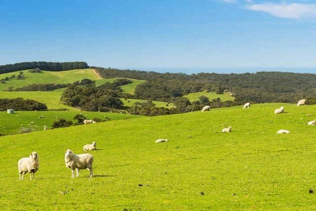 tasacion de vivivendas en aranguren