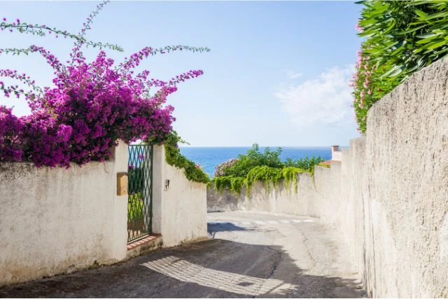 tasacion en benahavis