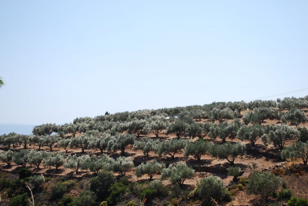 venta de fincas rústicas en españa