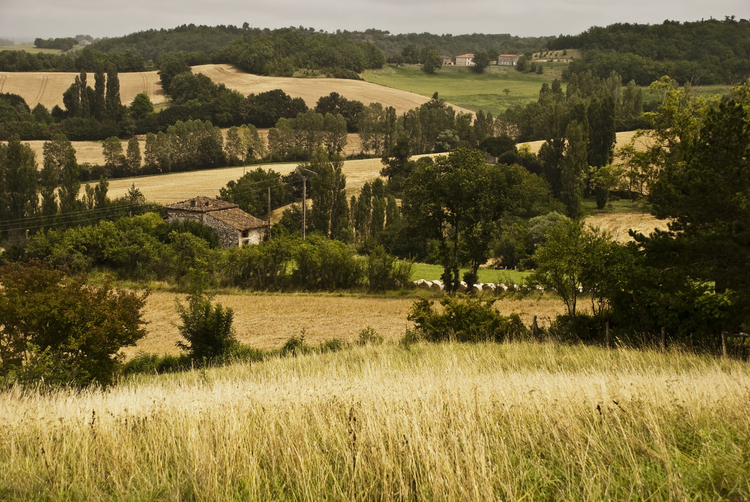 ¿Es posible vivir en una finca rústica?